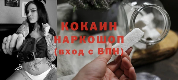 шишки Алексеевка