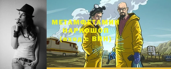 хмурый Алексин