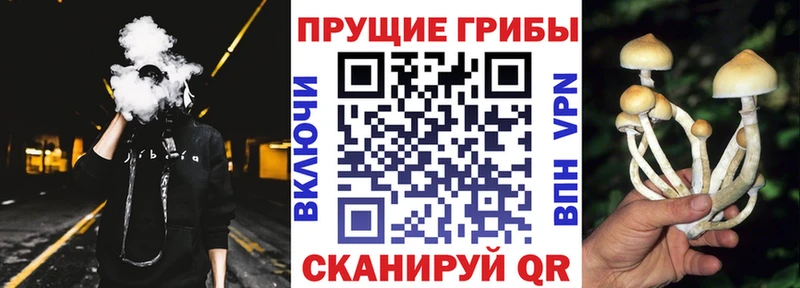 Галлюциногенные грибы GOLDEN TEACHER Всеволожск