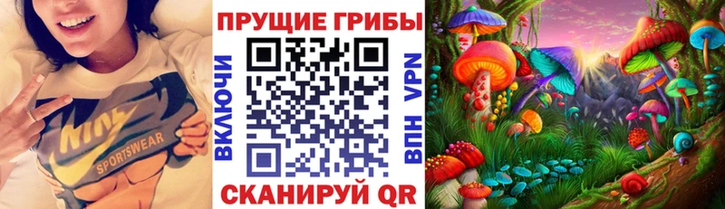 гидра маркетплейс  Всеволожск  Псилоцибиновые грибы GOLDEN TEACHER  где купить наркотик 