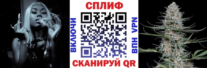 Шишки марихуана планчик где можно купить Всеволожск